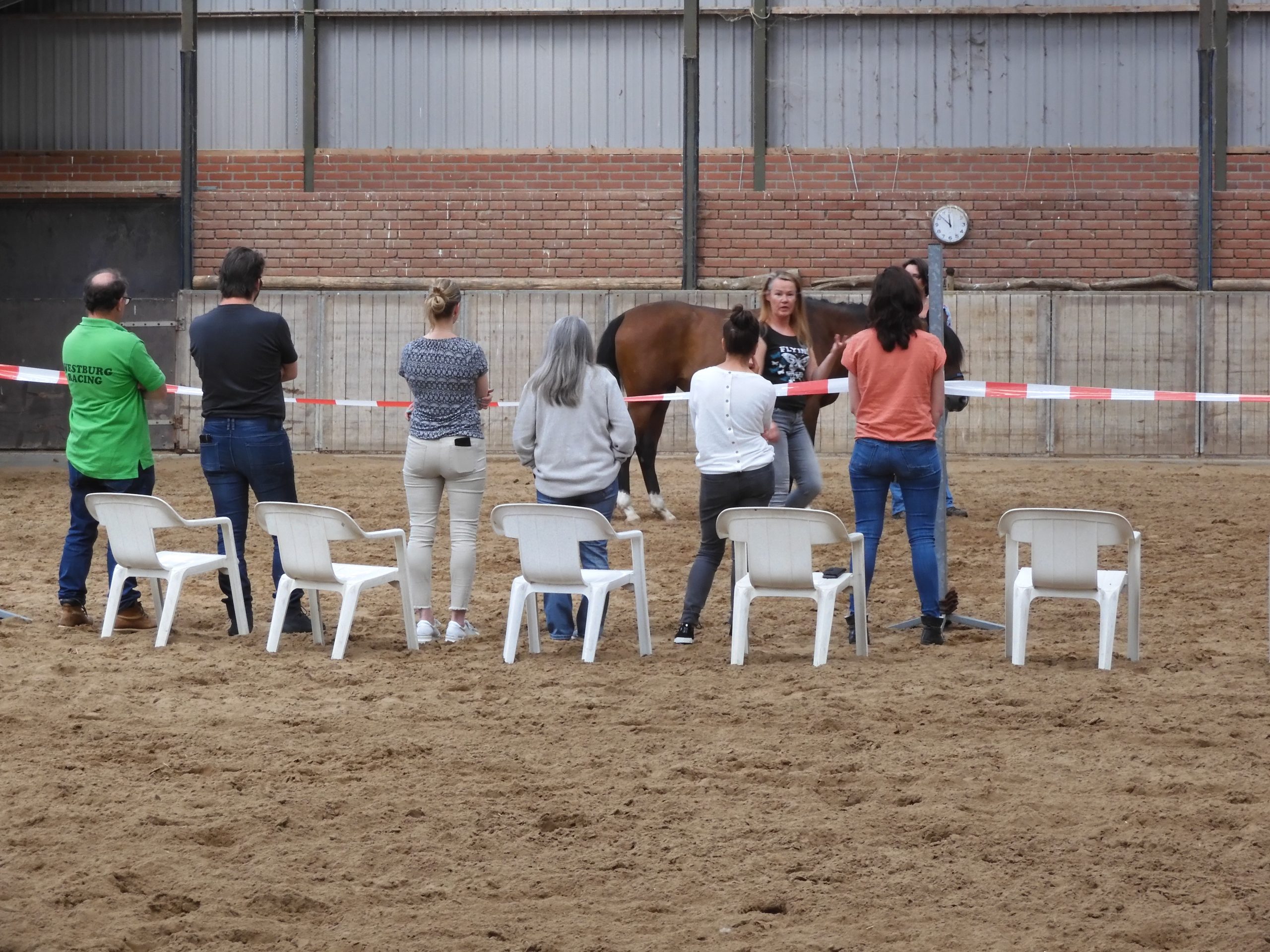 Workshop paard als spiegel