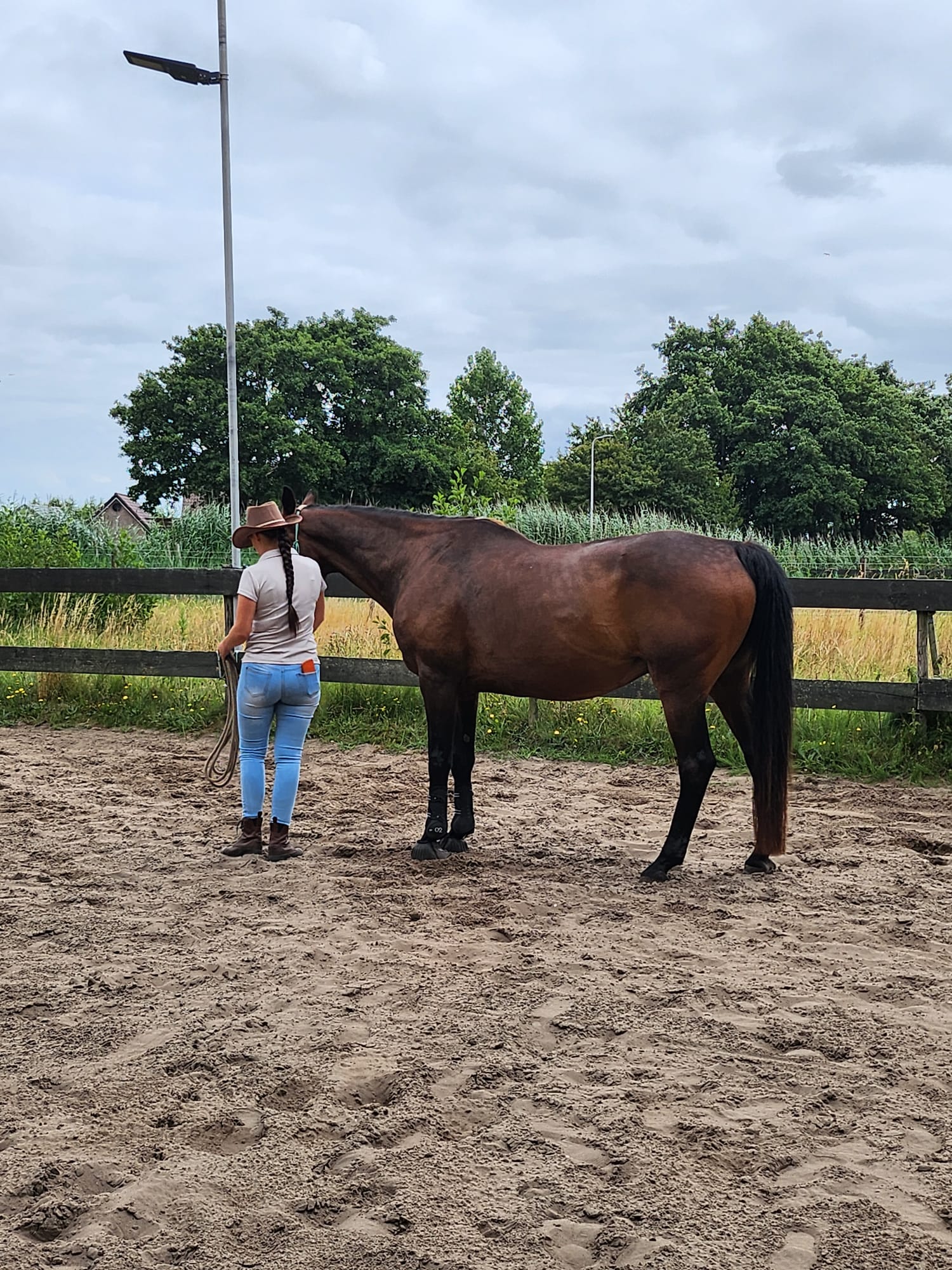 Brigitta & Martine bundelen hun kracht